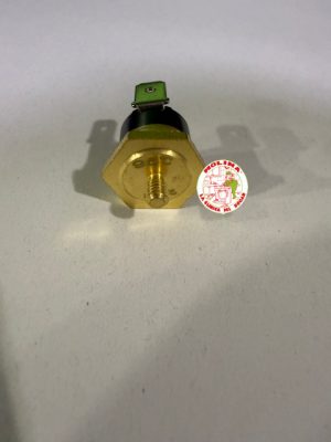 TERMOSTATO FIJO N.C. 95º CON ESPARRAGO ROSCADO, CAFETERA EXPRESS ETC.